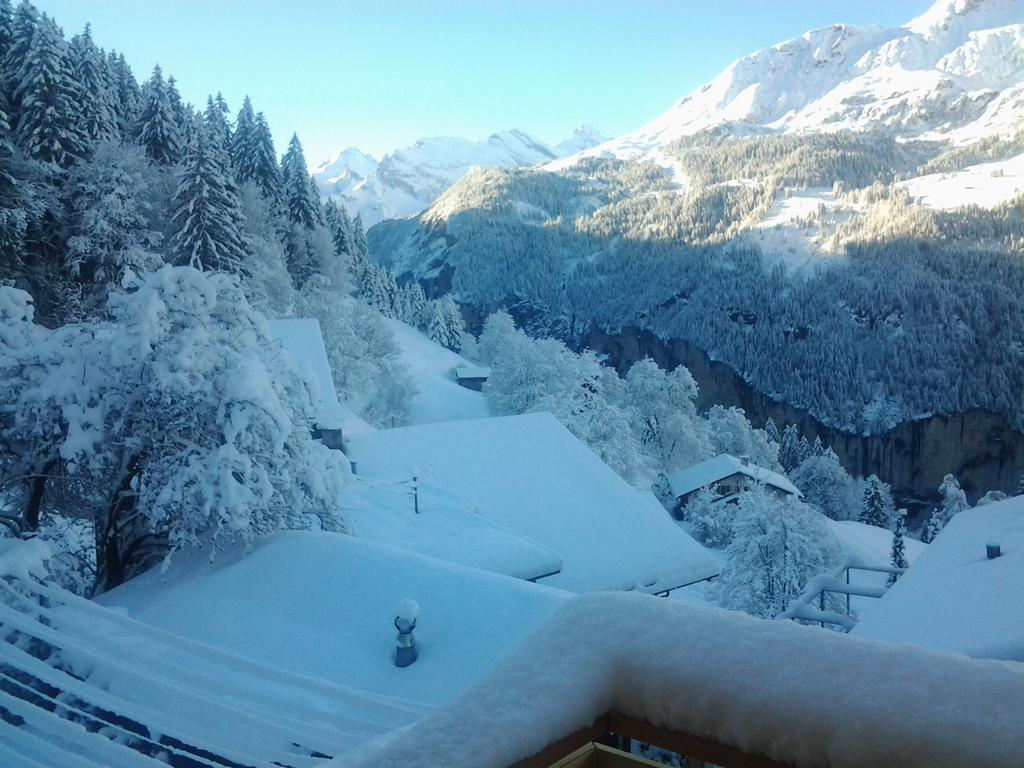 Chalet Viola - Verena'S Loft Wengen Exterior photo