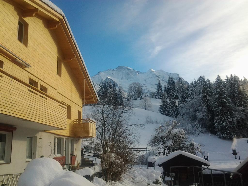 Chalet Viola - Verena'S Loft Wengen Exterior photo