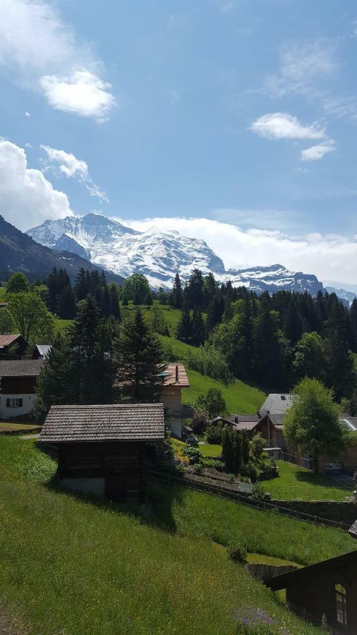 Chalet Viola - Verena'S Loft Wengen Exterior photo